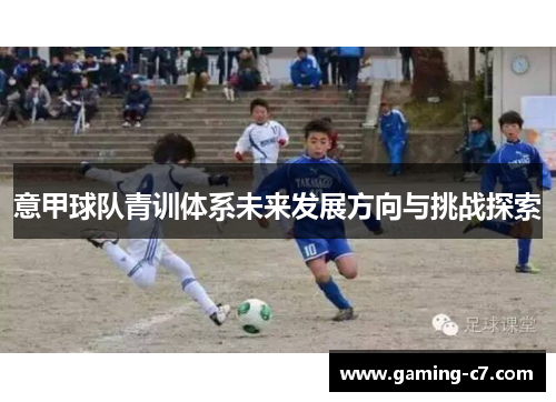 意甲球队青训体系未来发展方向与挑战探索